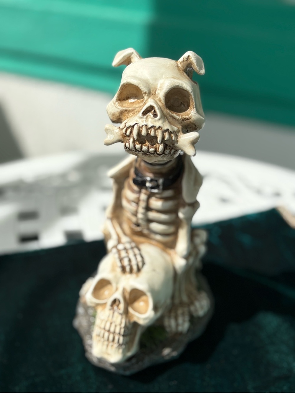 Ashland Michaels Halloween Skeleton Dog Tabletop Decor 6.25 inches